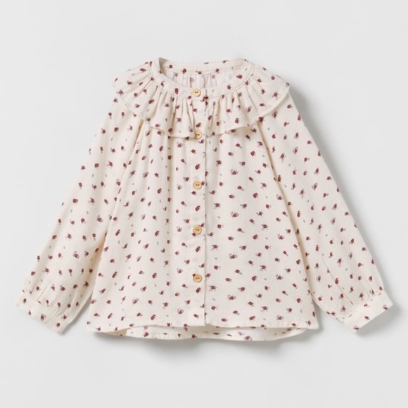 Zara Other - Zara Printed Blouse